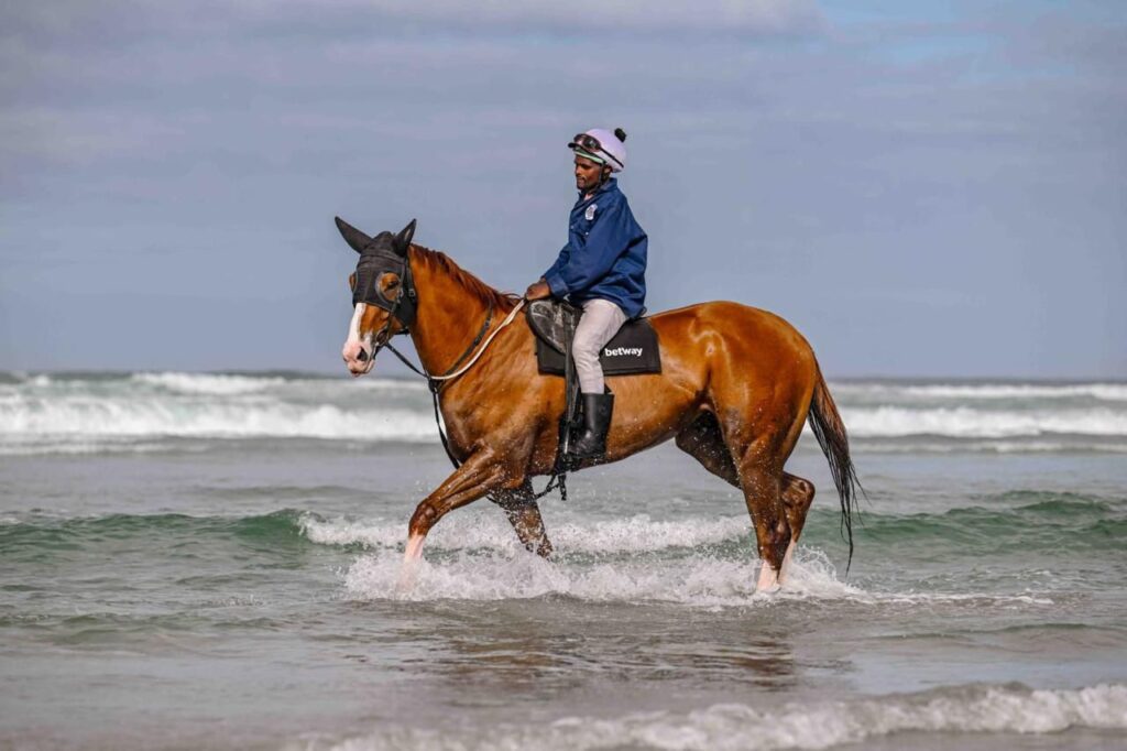 A message from Dr. [XXXX] on Horse Sickness