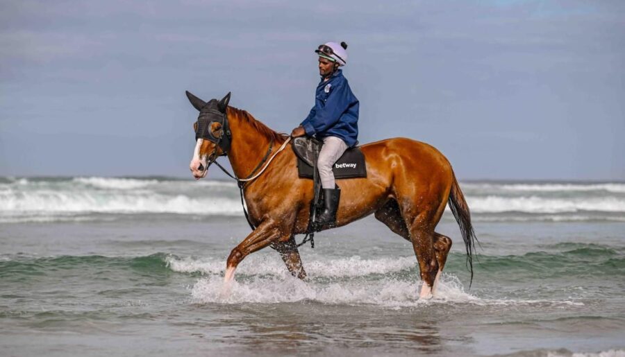 A message from Dr. [XXXX] on Horse Sickness