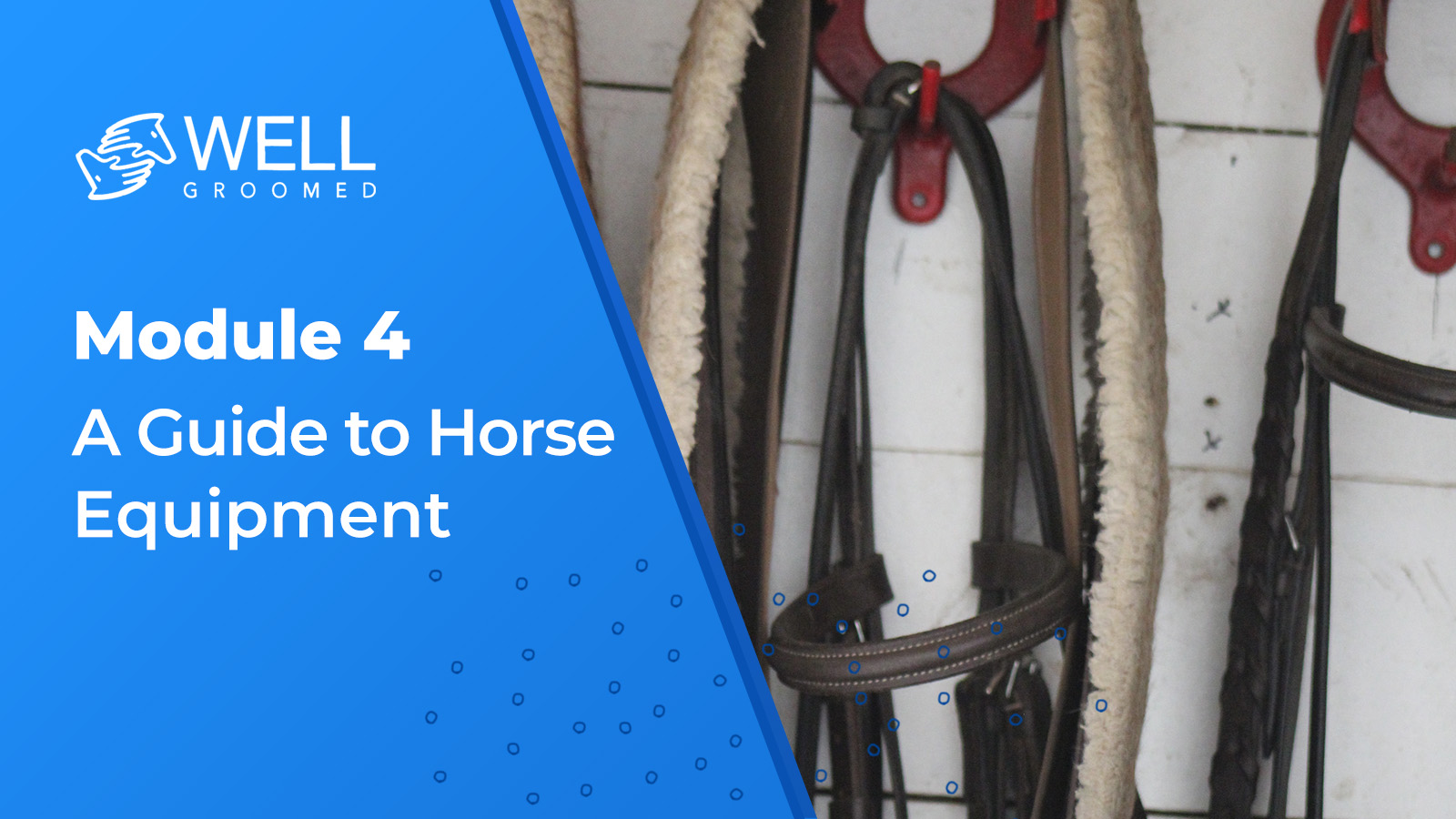 Module 4: A Guide to Horse Equipment