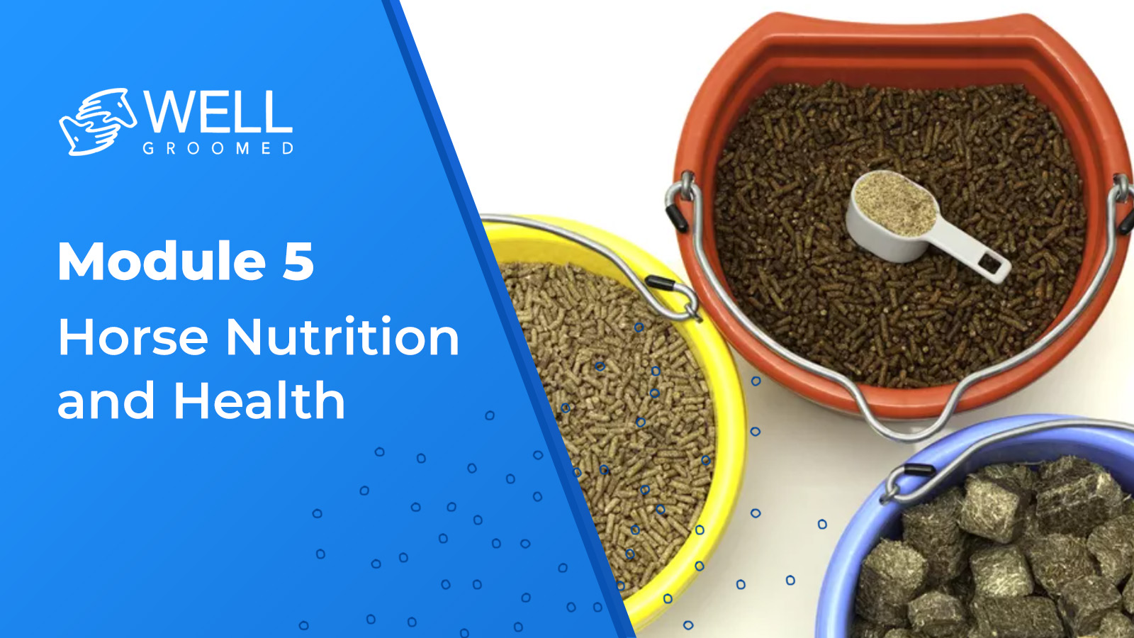 Module 5 – Horse Nutrition and Health