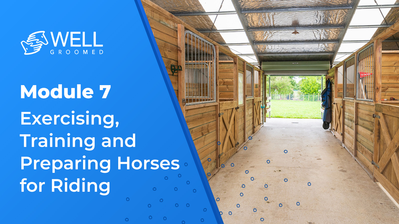 Module 7 – Exercising Training and Preparing Horses for Riding